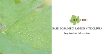 Bassi dosaggi di rame in viticoltura efficacia e stabilita