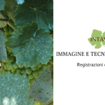Analisi d'immagine e altre tecnologie digitali in viticoltura