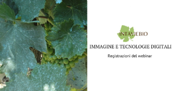 Analisi d'immagine e altre tecnologie digitali in viticoltura